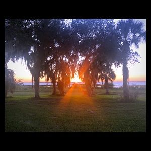 !!NOT FOR SALE!! - FAST SHIPPING